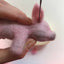 Mini Piglet Needle Felting Kit