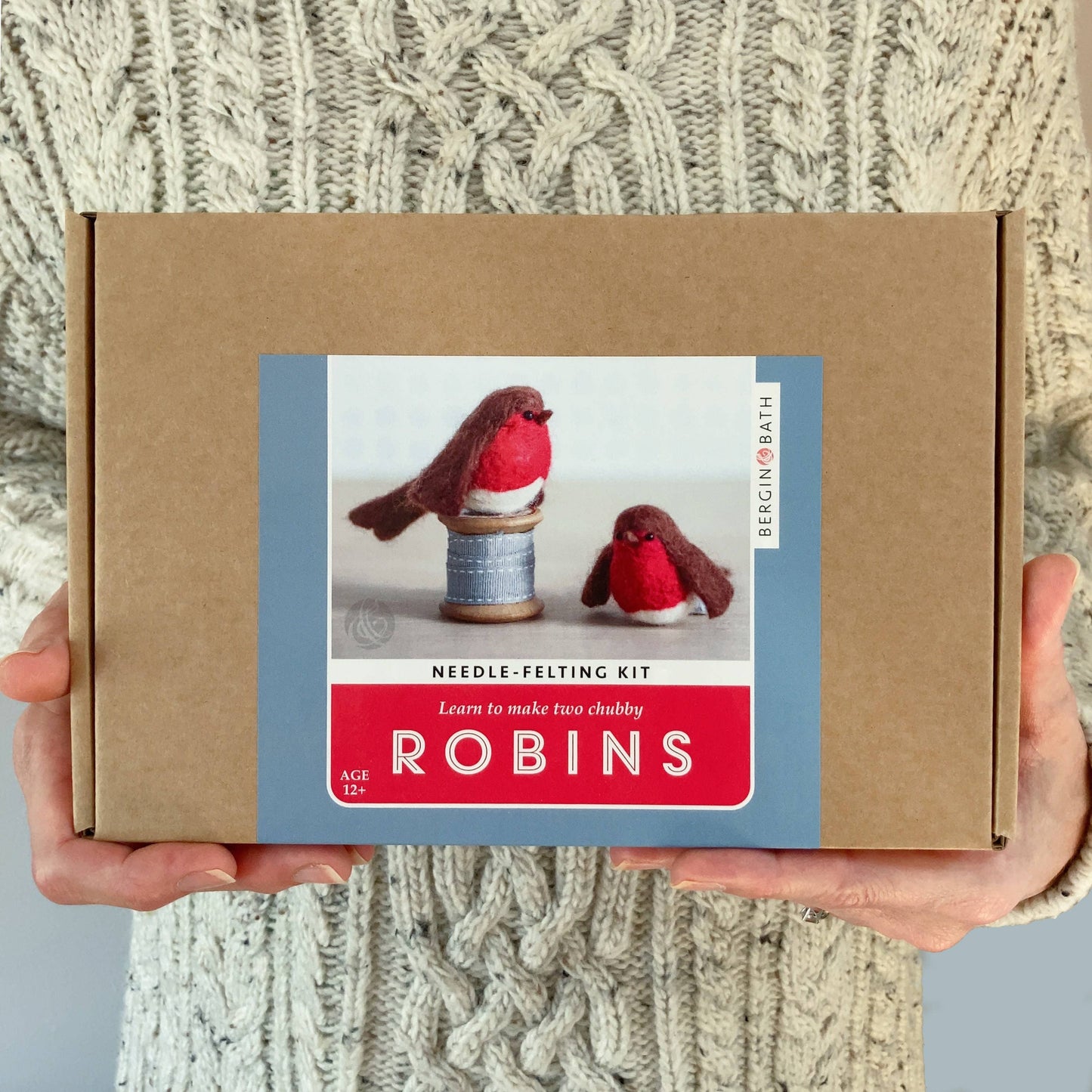 Robin Needle Felting Kit