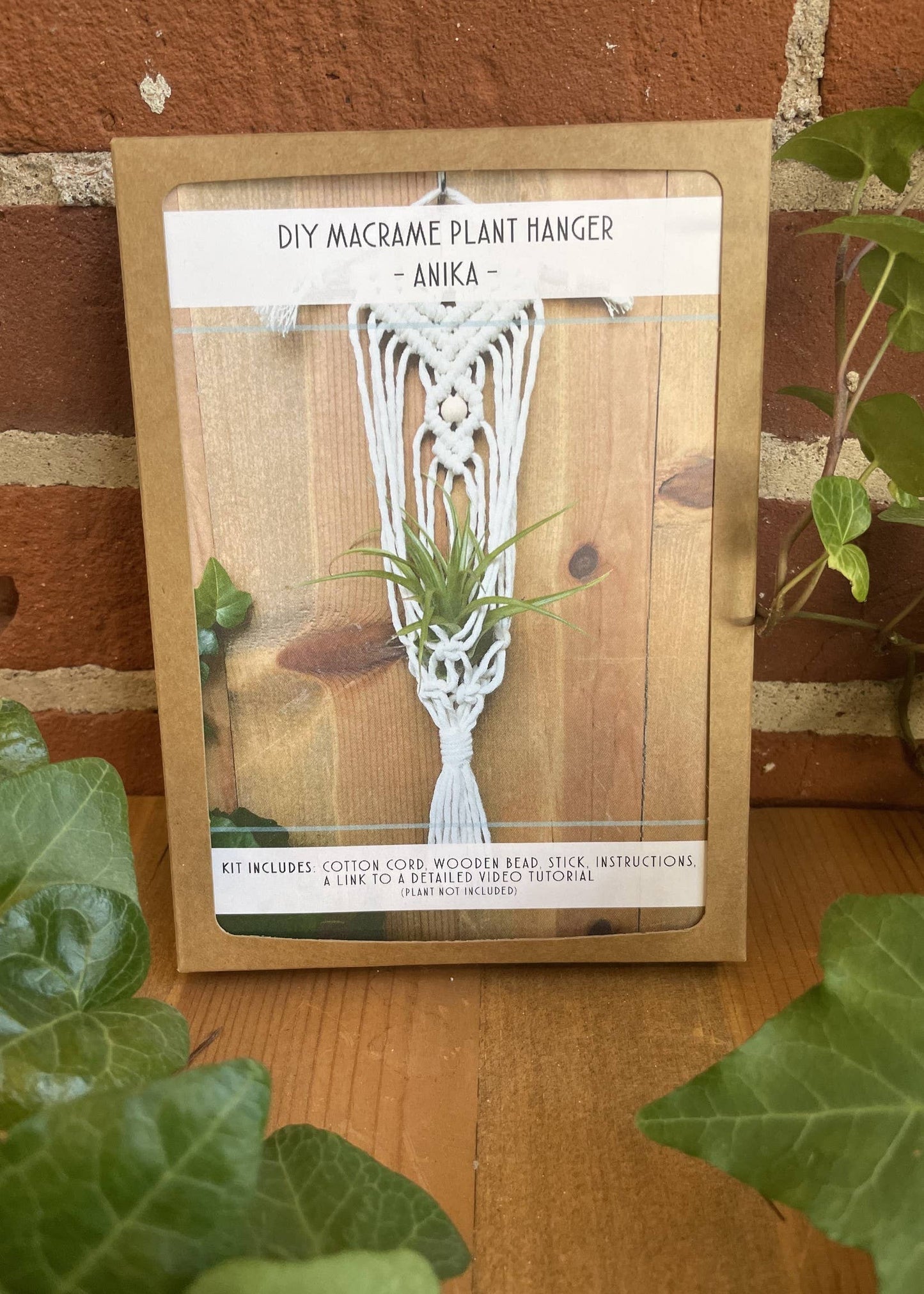 DIY Macrame Air Plant Hanger Kit - The Anika