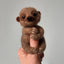 Needle Felting Kit, Baby Sloth