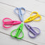 Mini Scissors