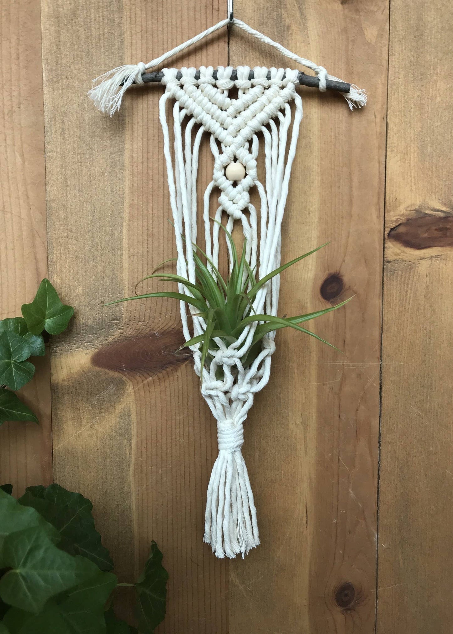 DIY Macrame Air Plant Hanger Kit - The Anika