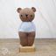 Abe Bear Knitting Kit