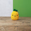 Pineapple Crochet Kit