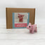 Mini Piglet Needle Felting Kit