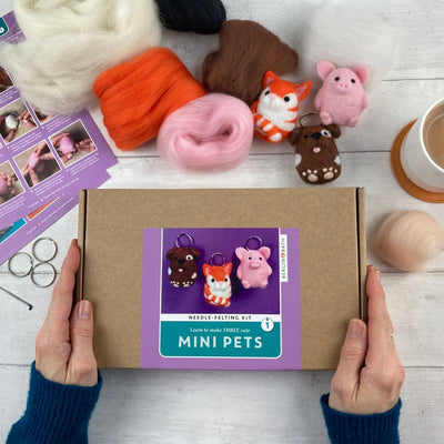 Needle Felting Kit - Mini Pets 1. Make THREE felt animals.