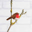 Robin Needle Felting Kit