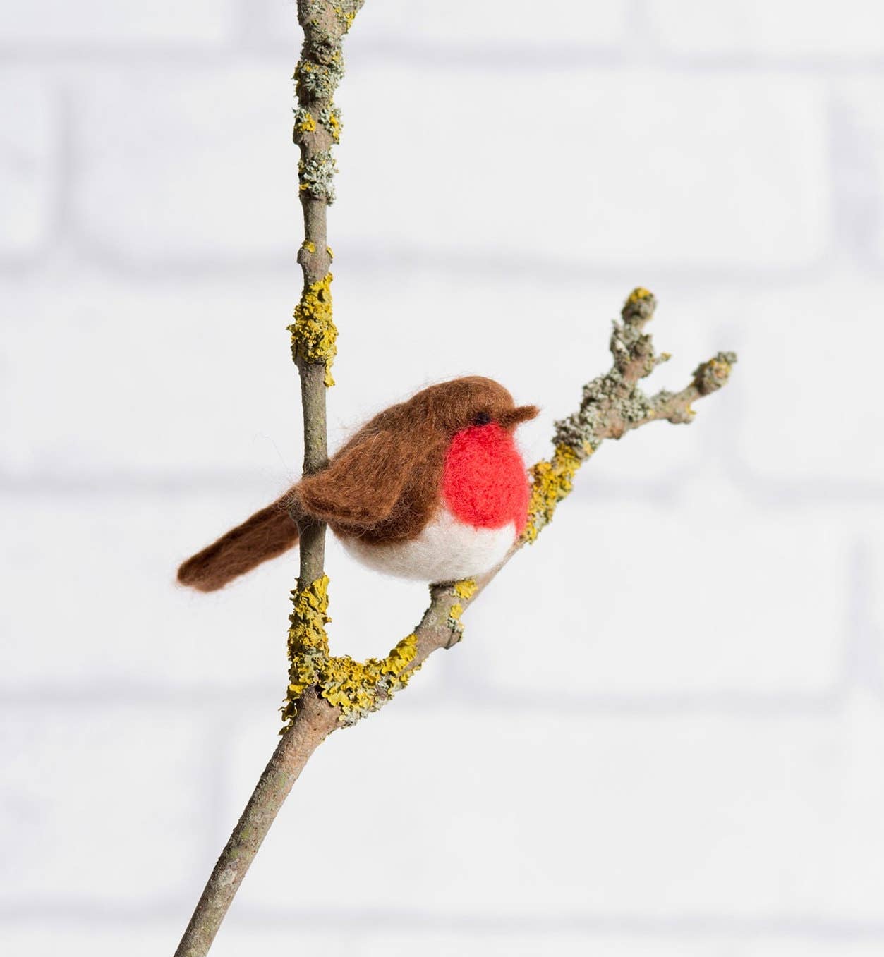 Robin Needle Felting Kit