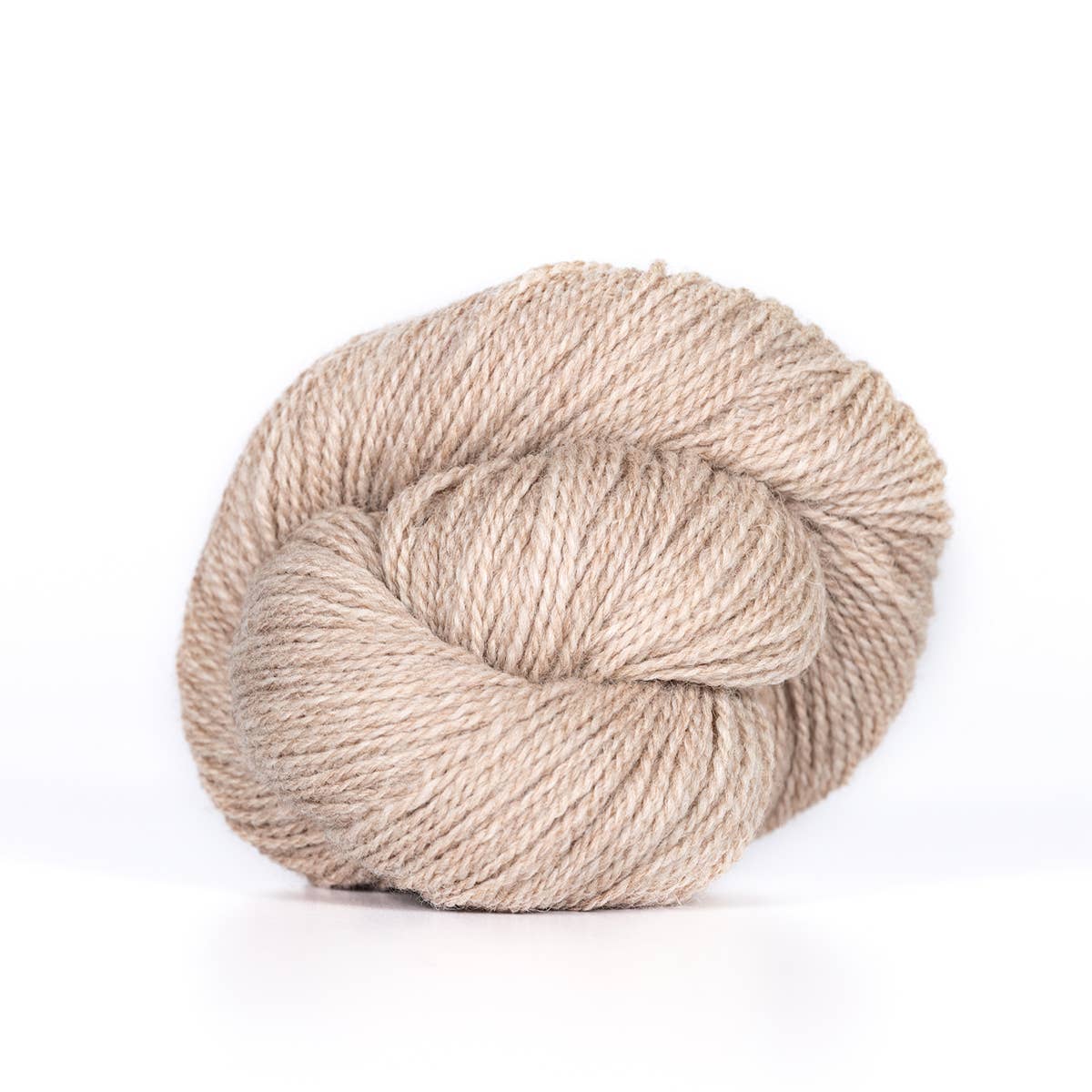 Camper (Fingering Weight) ⟡ 100% Wool