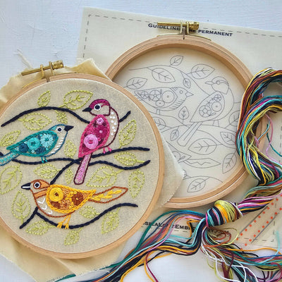 Colorful Birds beginner embroidery kit